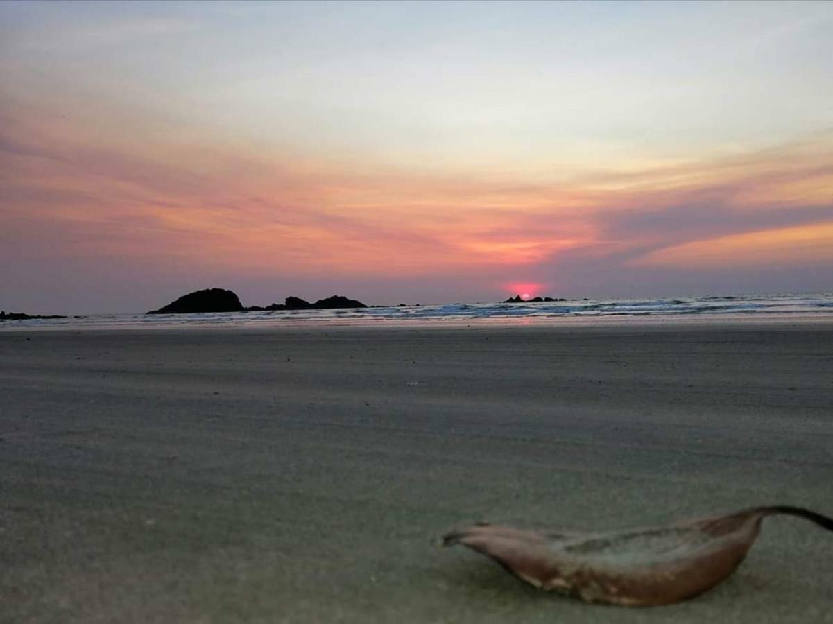Corniche Beach Resort Mulappilangād 외부 사진